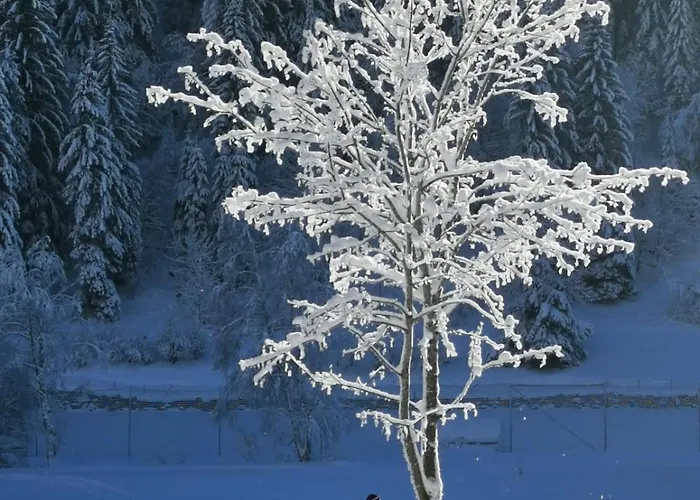 Edenhof * Бад-Кляйнкірхгайм
